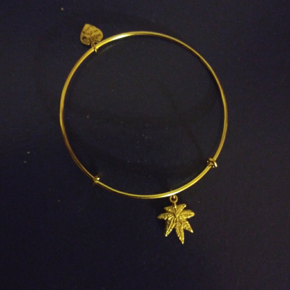 Marijuana leaf Charm bracelet